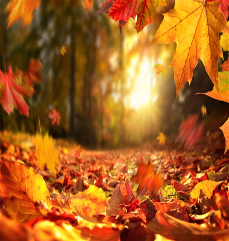 Fabulous Fall Savings Package Fabulous Fall Savings Package
